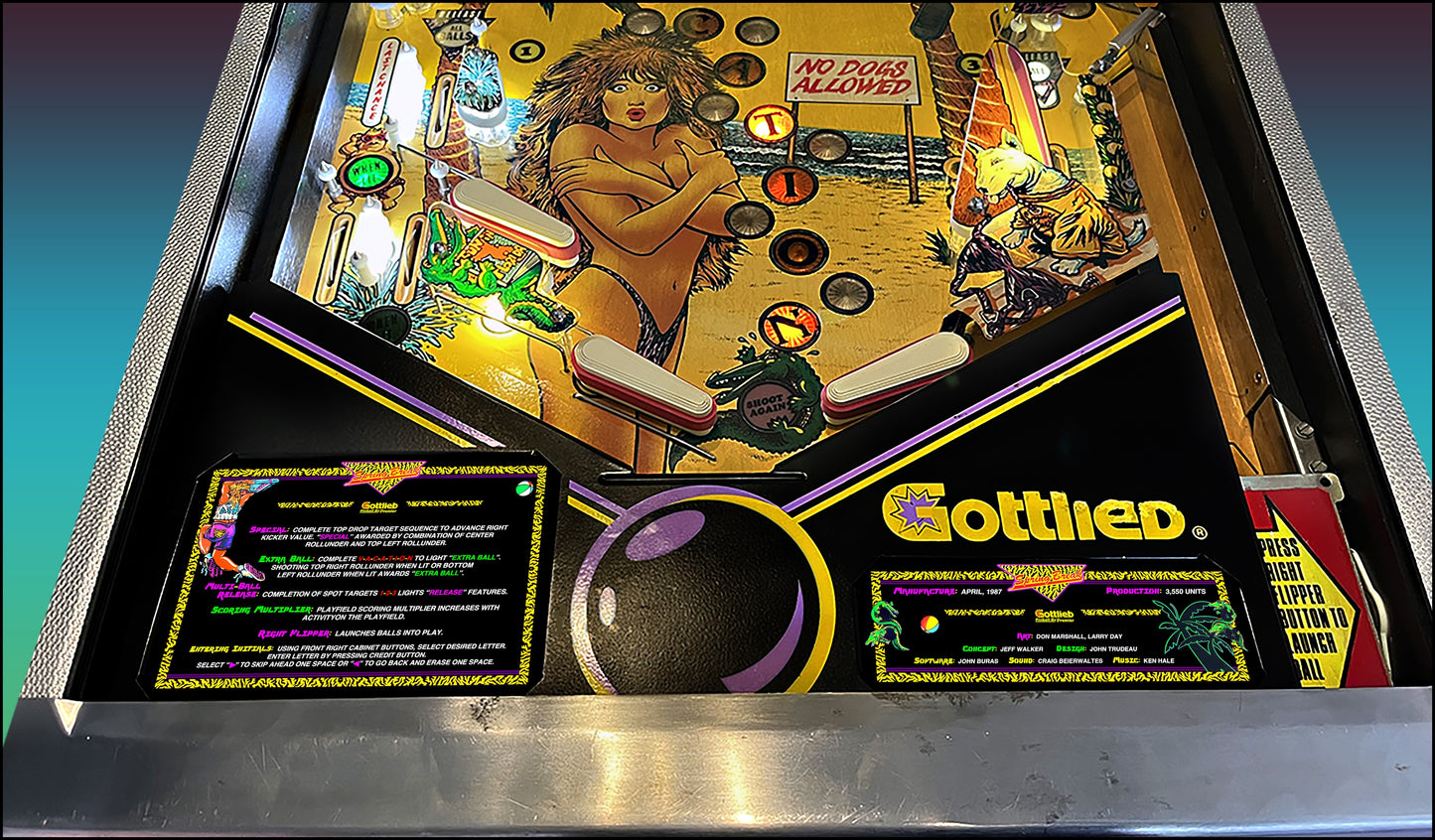 Gottlieb Spring Break 1987 Game Cards Instructions Pinball Custom Apron Printed Rules