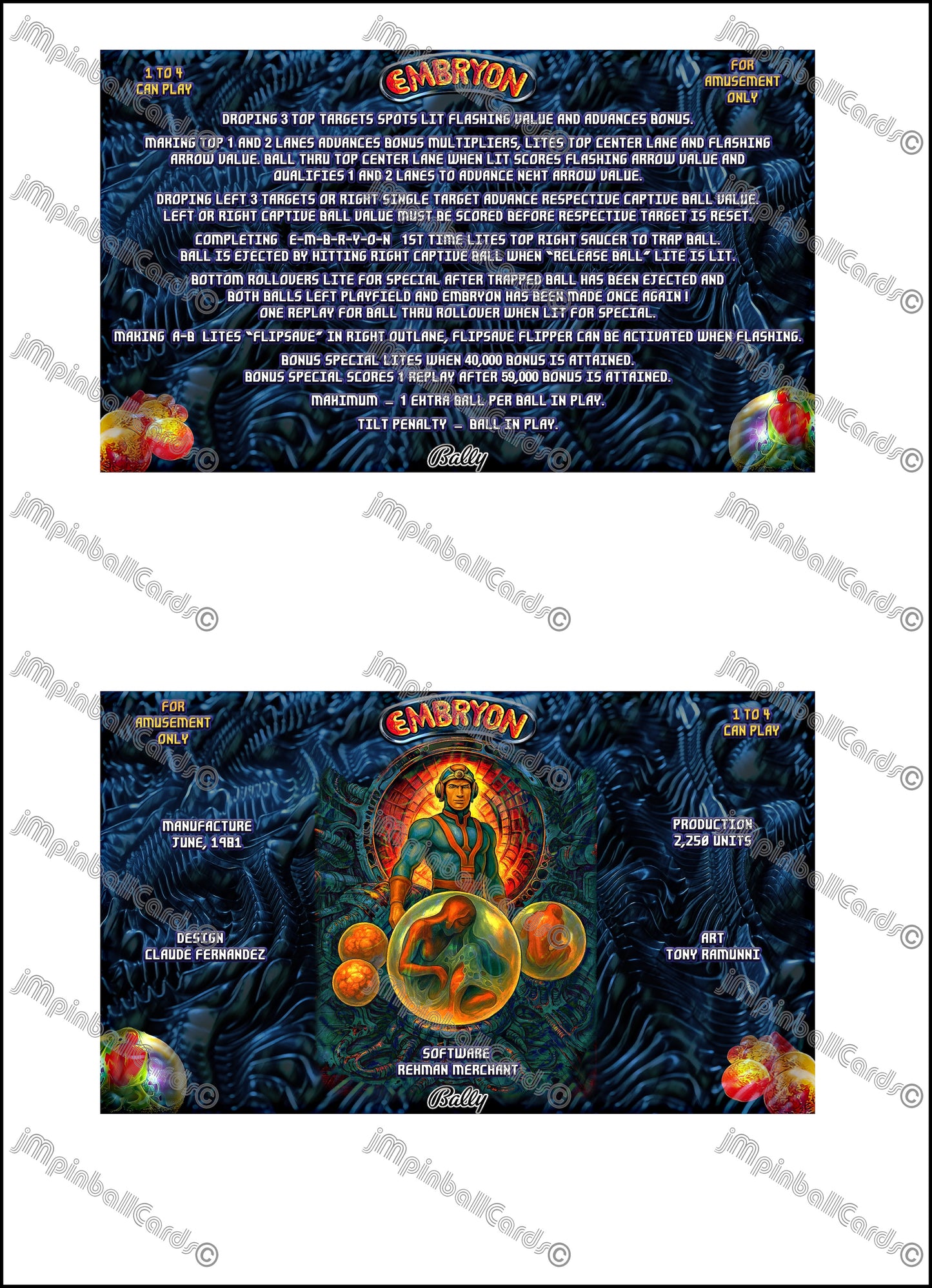 Bally Embryon 1981 Jeu Cartes Instructions Flipper Custom Apron règles imprimées