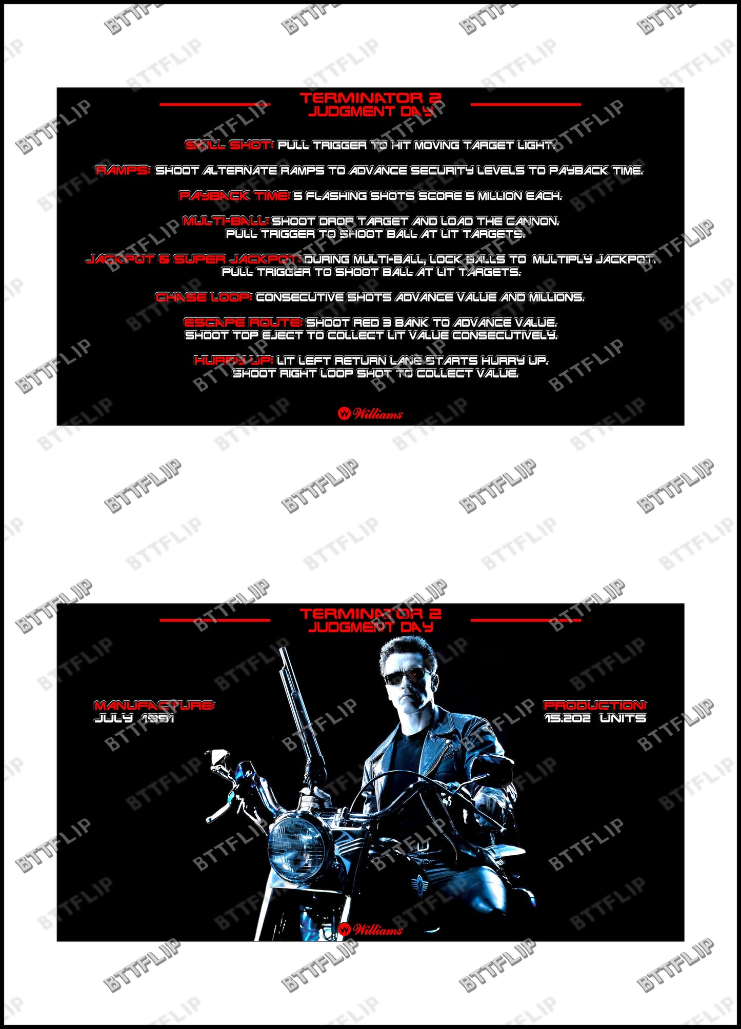 Williams T2 Terminator 2 1991 Pinball Rules Instructions Custom Apron V4