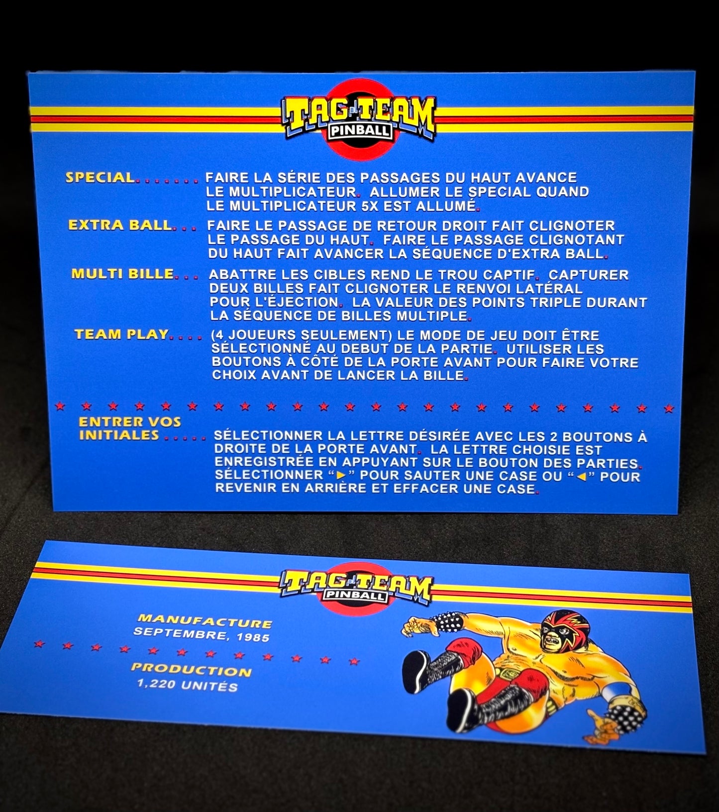 Premier Gottlieb Tag Team Pinball 1985 Jeu Cartes Instructions Flipper Custom Apron règles imprimées V1