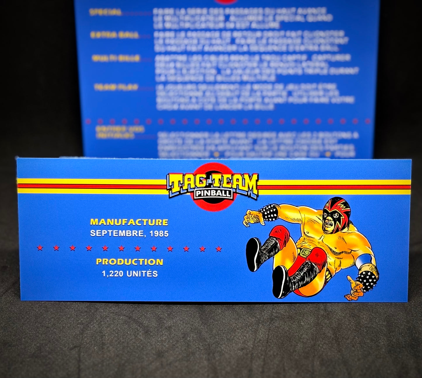 Premier Gottlieb Tag Team Pinball 1985 Jeu Cartes Instructions Flipper Custom Apron règles imprimées V1