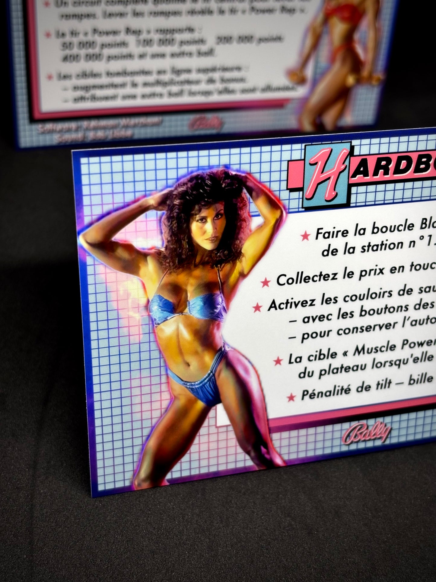 Bally Hardbody 1987 Game Cards Instructions Pinball Custom Apron printed rules