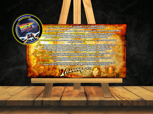 Williams Indiana Jones 1993 Pinball Game Cards Rules Instructions Custom Apron V1