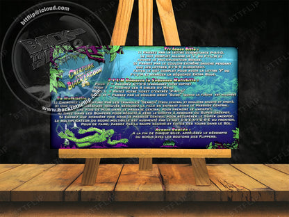 Tarjetas de instrucciones custom del delantal de la máquina de pinball Bally Creature From The Black Lagoon 1992 V2 (set de 2)