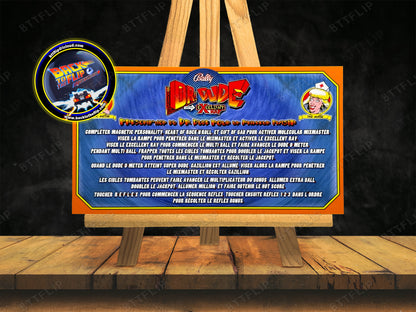 Bally Dr Dude 1990 Jeu Cartes règles Instructions Flipper Custom Apron V1