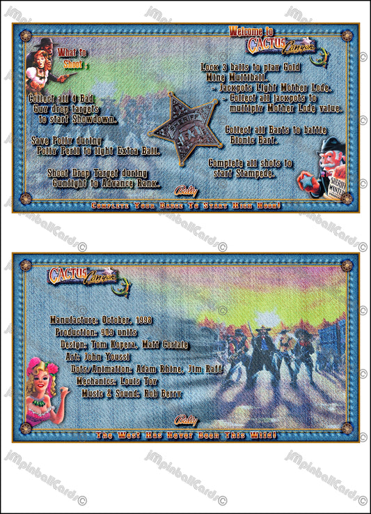 Instrucciones de tarjetas de juegos de pinball Bally Cactus Canyon 1998 - Tarjetas de pinball personalizadas con impresión personalizada