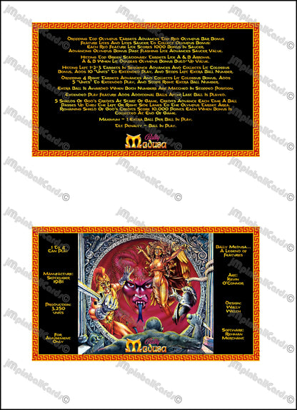Instrucciones de las tarjetas del juego Bally MEDUSA 1981 Pinball Delantal personalizado reglas impresas
