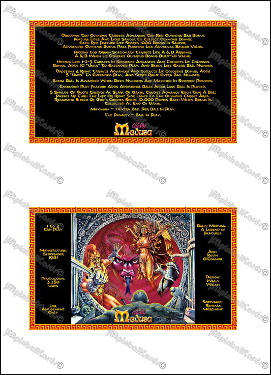 Bally MEDUSA 1981 Jeu Cartes Instructions Flipper Custom Apron règles imprimées