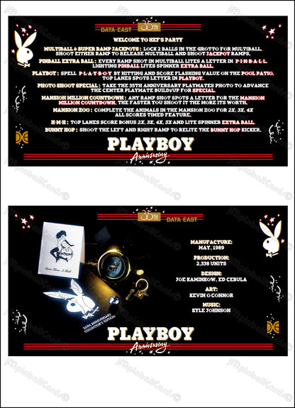 Instrucciones para tarjetas de juego Data East Playboy 35th Anniversary 1989, reglas impresas de delantal personalizado de pinball