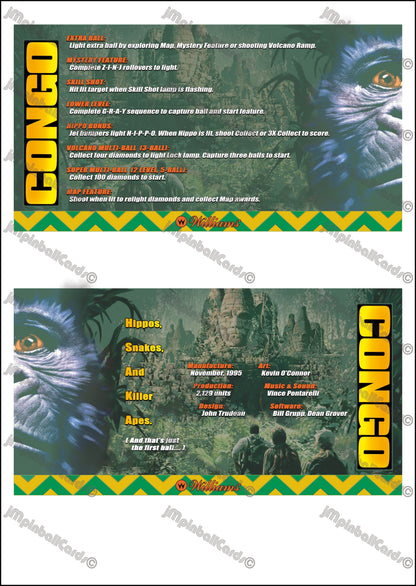 Williams CONGO 1995 Game Cards Instructions Pinball Custom Apron printed rules