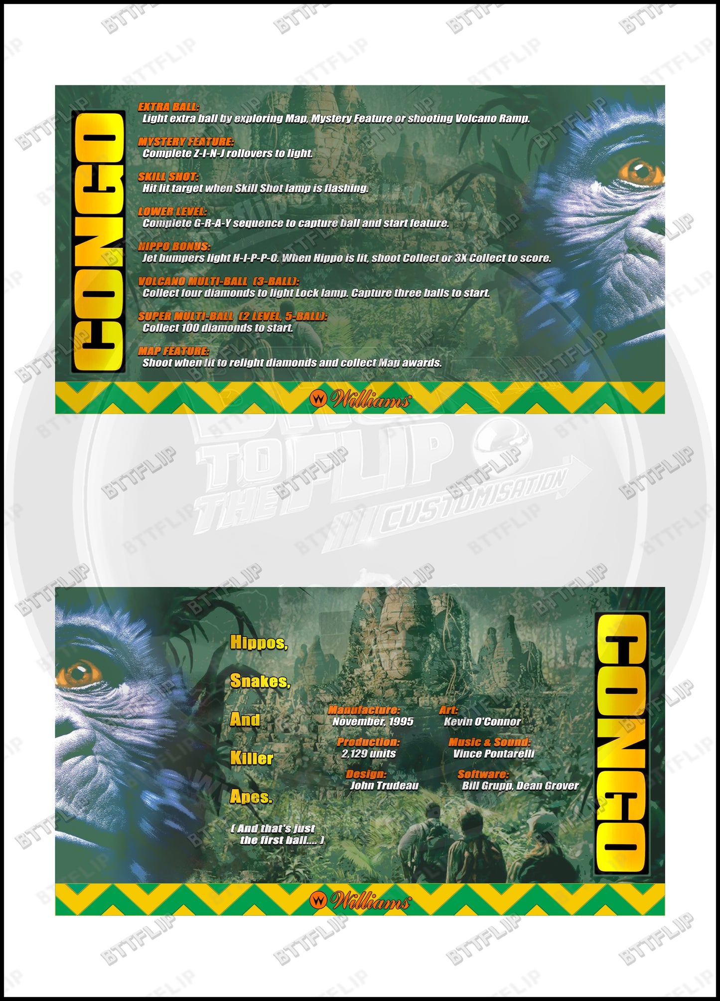 Williams CONGO 1995 Game Cards Instructions Pinball Custom Apron printed rules