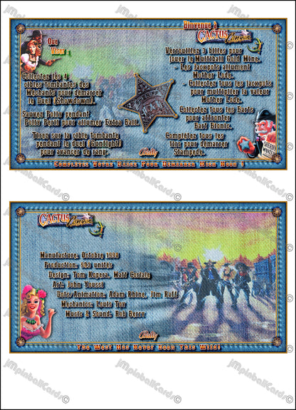 Bally Cactus Canyon 1998 Games Cards Instructions Pinball - Custom Printed Pinball Apron Cards