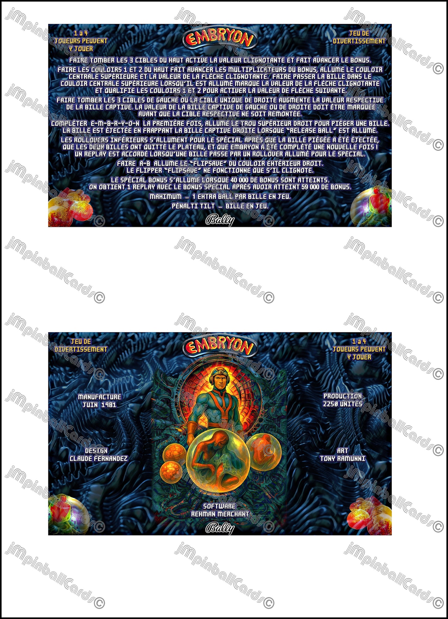 Bally Embryon 1981 Jeu Cartes Instructions Flipper Custom Apron règles imprimées