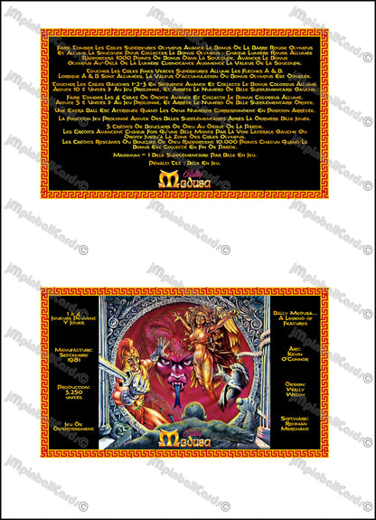 Instrucciones de las tarjetas del juego Bally MEDUSA 1981 Pinball Delantal personalizado reglas impresas