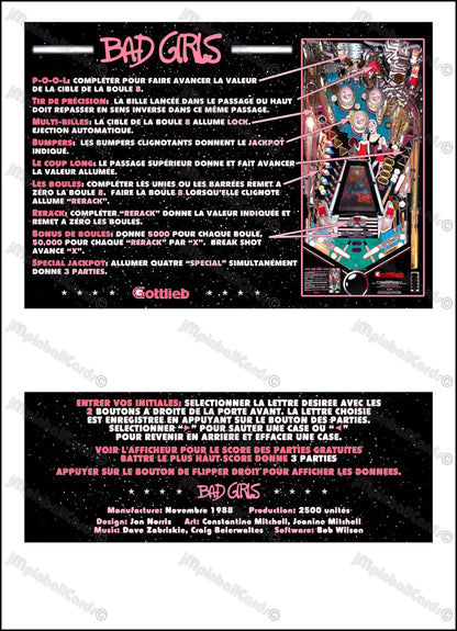 Instrucciones de las tarjetas del juego Gottlieb Bad Girls 1988, reglas impresas del delantal personalizado de pinball