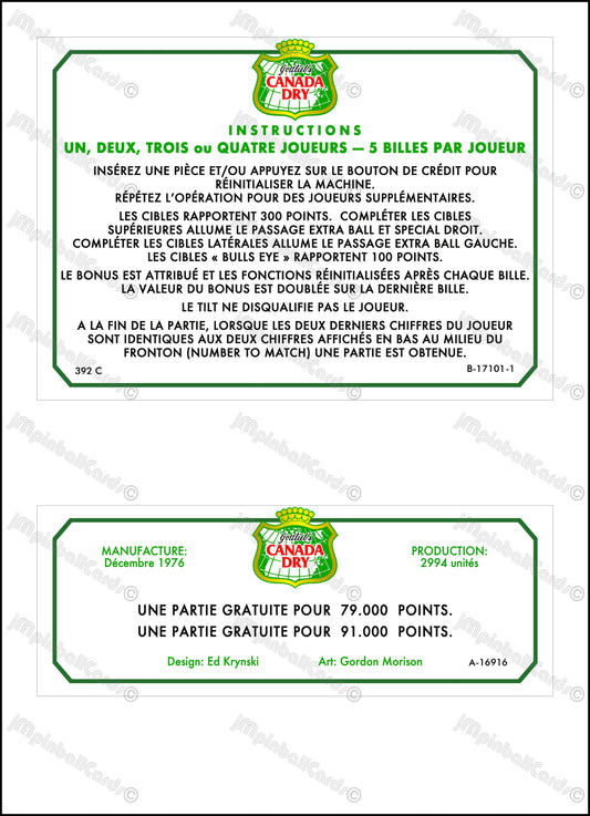 Instrucciones de las tarjetas de juego Gottlieb Canada Dry 1976, delantal personalizado Flipper, reglas impresas