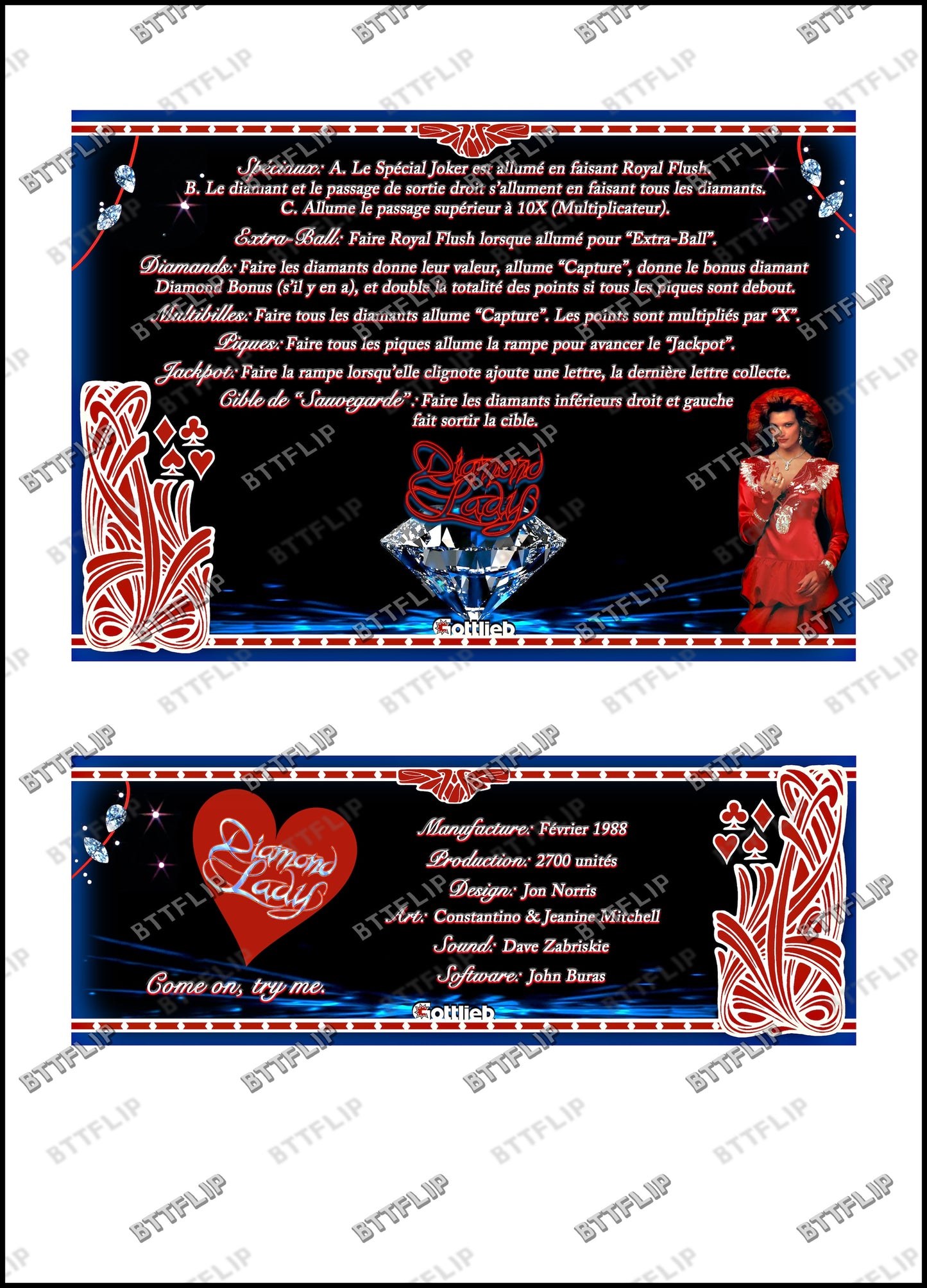 Gottlieb DIAMOND LADY 1988 Jeu Cartes Instructions Flipper Custom Apron règles imprimées