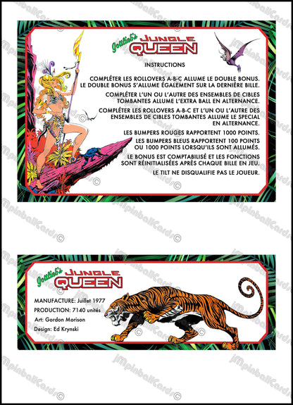 Instrucciones de las tarjetas del juego Gottlieb Jungle Queen 1977, reglas impresas del delantal personalizado de pinball
