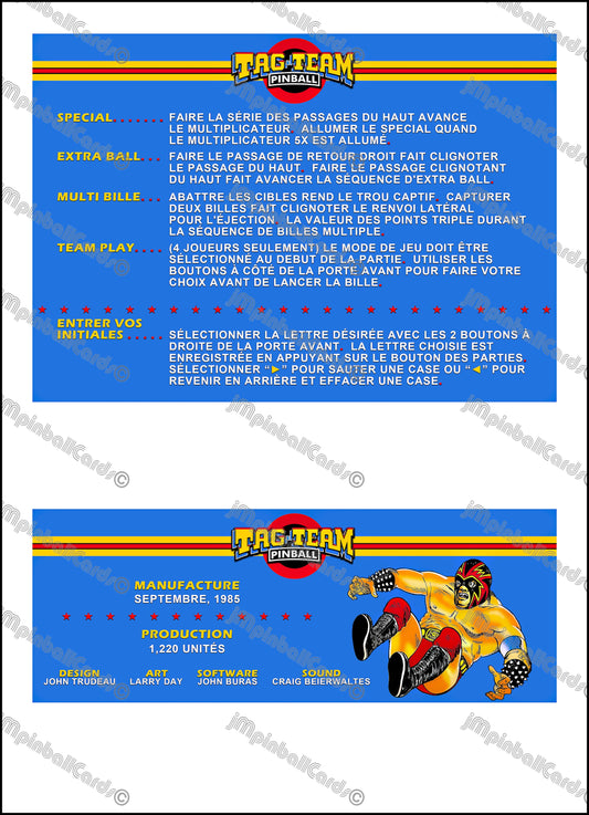 Premier Gottlieb Tag Team Pinball 1985 Jeu Cartes Instructions Flipper Custom Apron règles imprimées V1