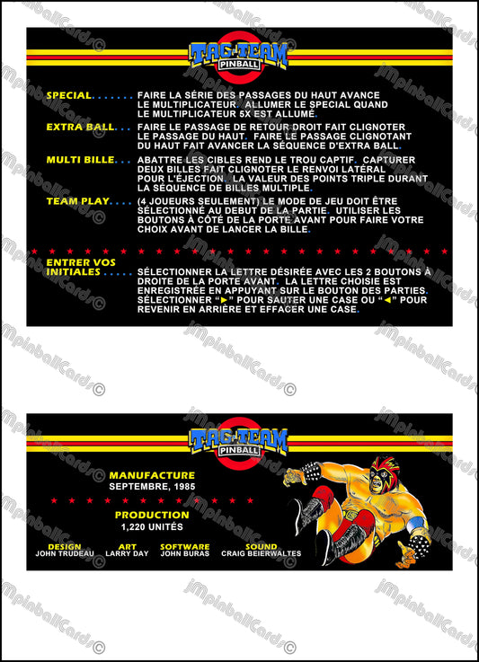 Premier Gottlieb Tag Team Pinball 1985 Jeu Cartes Instructions Flipper Custom Apron règles imprimées V2