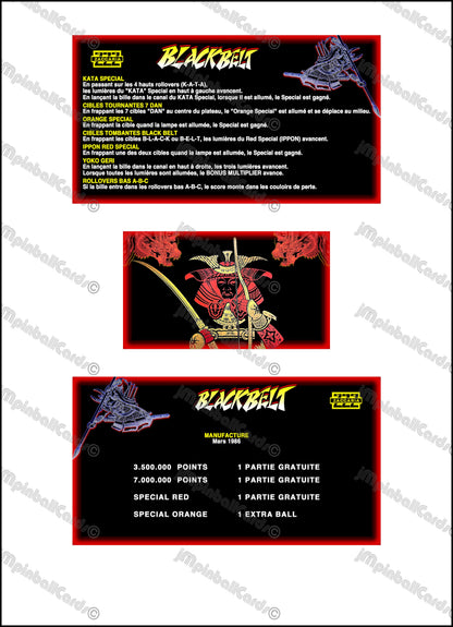 Zaccaria Blackbelt 1986 Set Cards Instructions Flipper Custom Apron Printed Rules
