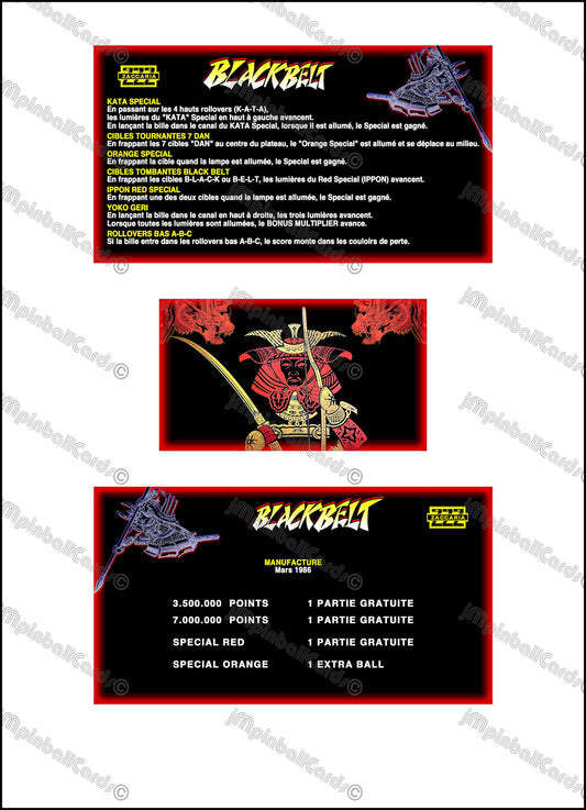 Zaccaria Blackbelt 1986 Set Cards Instrucciones Flipper Delantal personalizado Reglas impresas