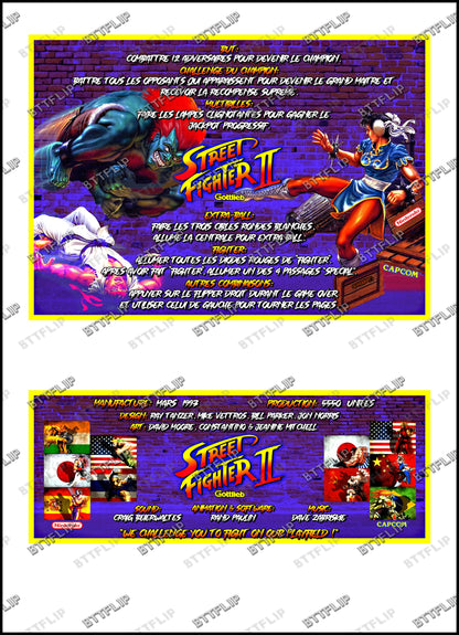 Gottlieb Street Fighter 1993 Game Cards Rules Instructions Pinball Custom Apron V1