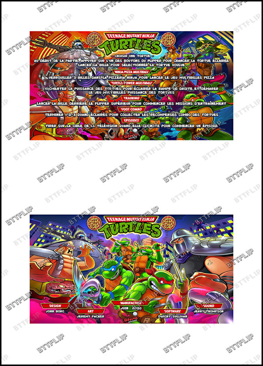 Stern Ninja Turtles 2020 Game Cards Instructions Flipper Custom Apron Printed Rules V1