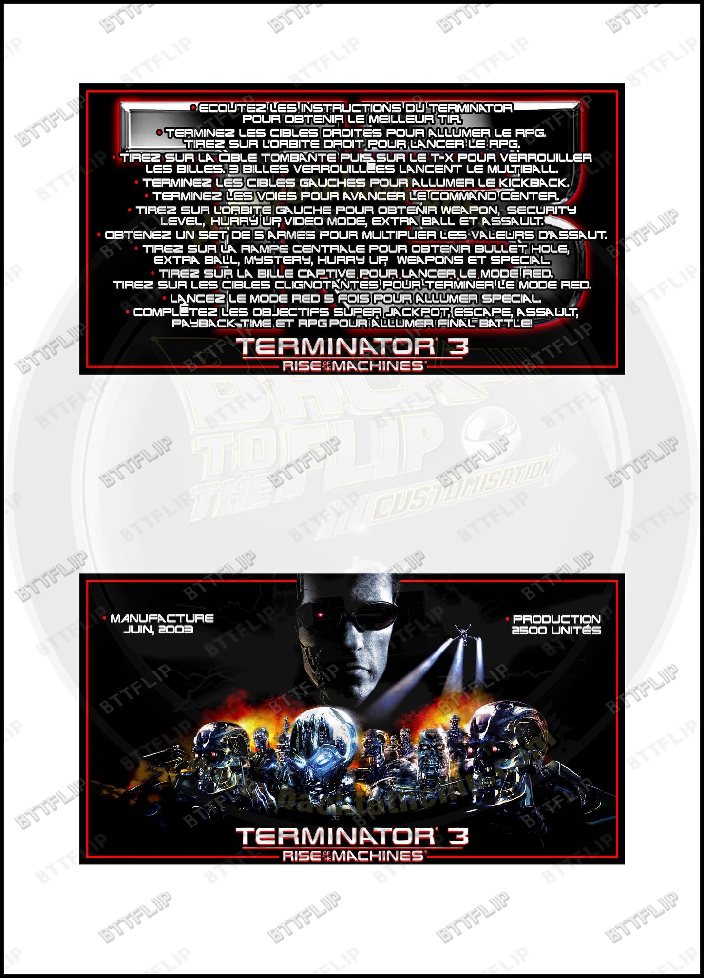 Custom instruction cards apron flipper Stern Terminator 3 Rise of the Machines 2003 V1 (set of 2)