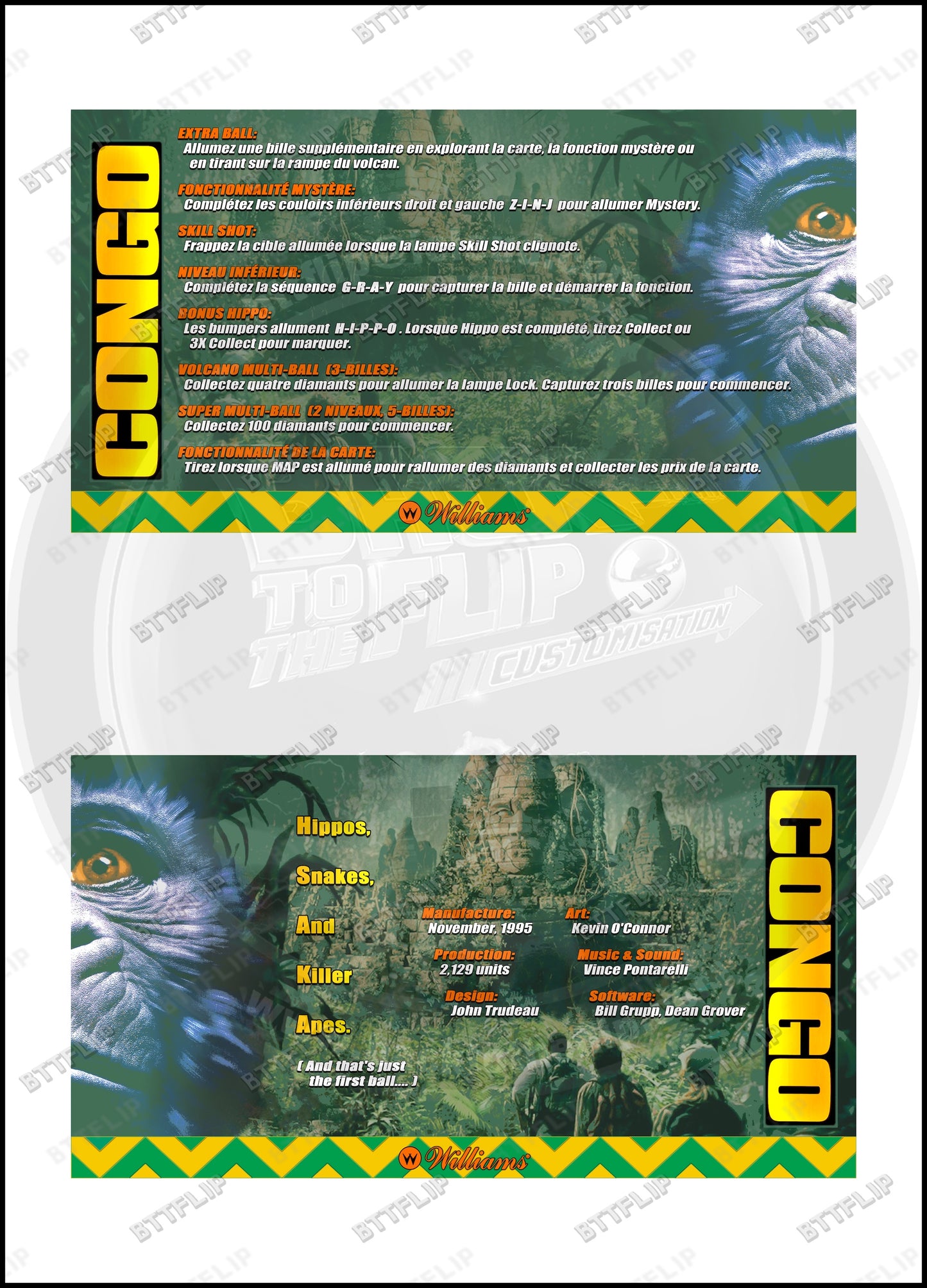 Williams CONGO 1995 Game Cards Instructions Pinball Custom Apron printed rules