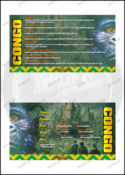 Williams CONGO 1995 Game Cards Instructions Pinball Custom Apron printed rules