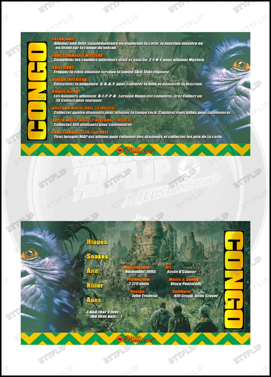 Williams CONGO 1995 Game Cards Instructions Pinball Custom Apron printed rules