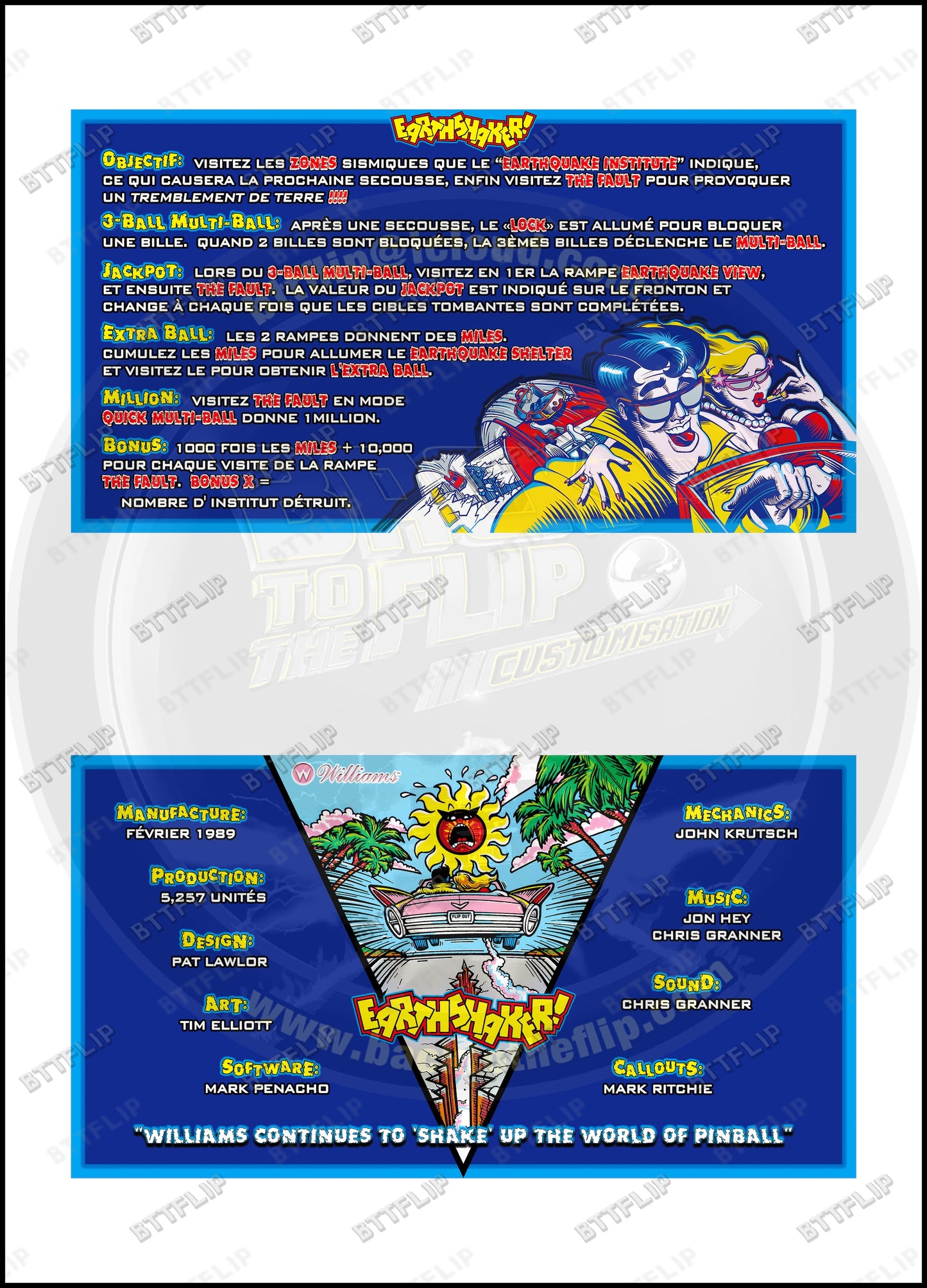 Cartes d'instructions custom apron flipper Williams Earthshaker 1989 (set de 2)