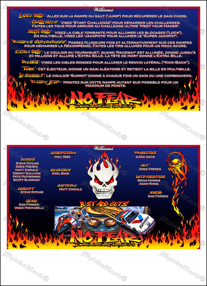 Williams No Fear Dangerous Sports 1995 Game Cards Instructions Pinball Custom Apron Printed Rules