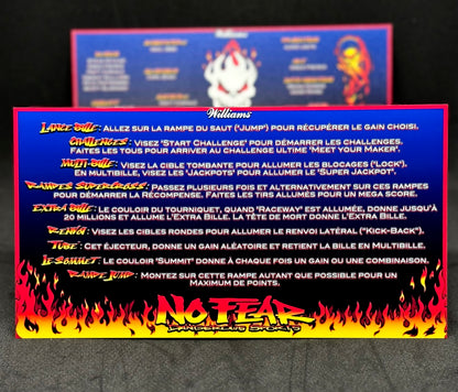 Williams No Fear Dangerous Sports 1995 Game Cards Instructions Pinball Custom Apron Printed Rules