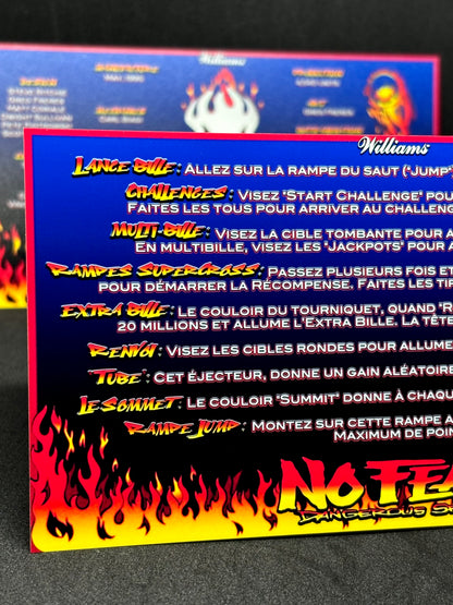 Williams No Fear Dangerous Sports 1995 Game Cards Instructions Pinball Custom Apron Printed Rules