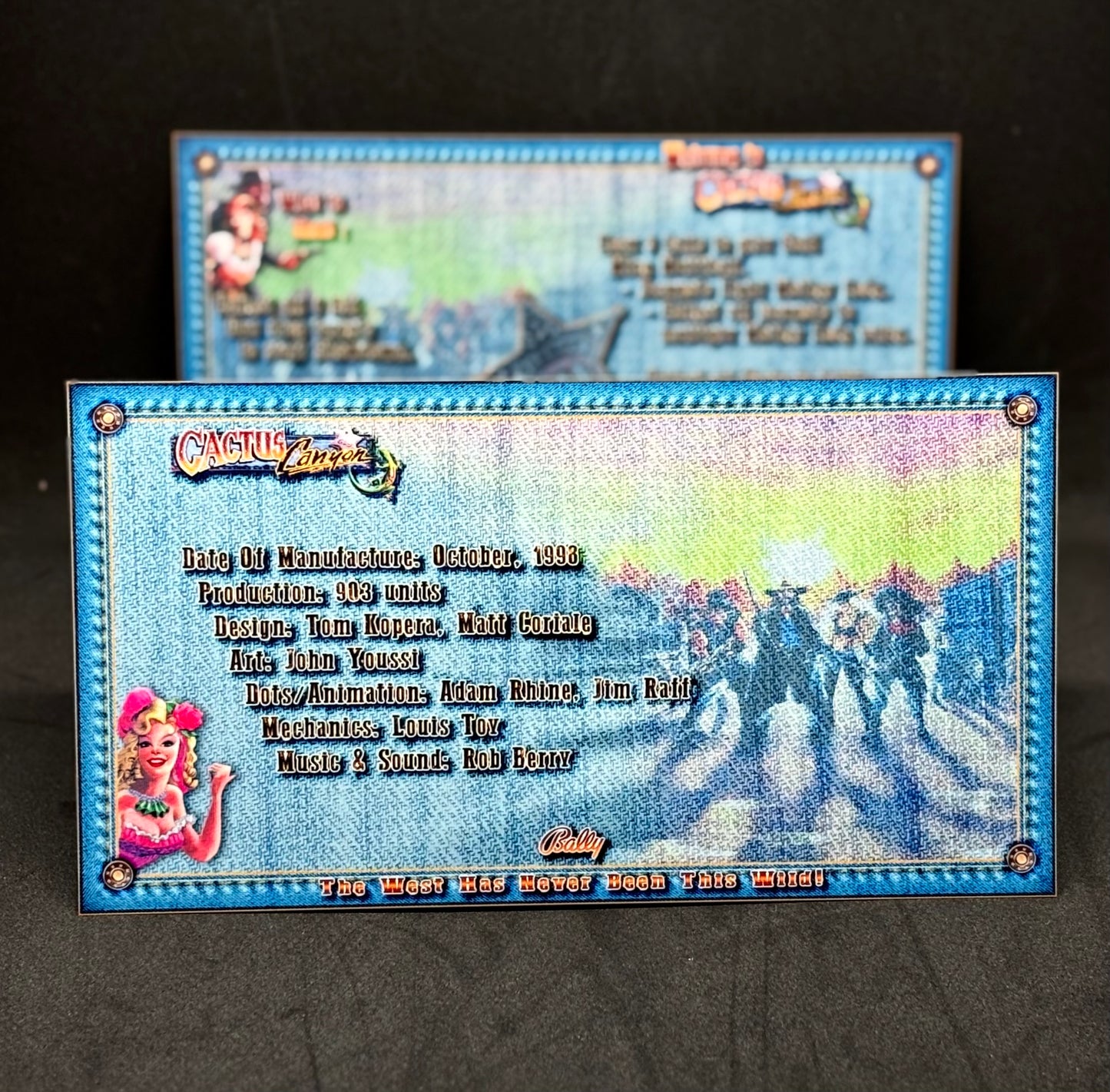 Instrucciones de tarjetas de juegos de pinball Bally Cactus Canyon 1998 - Tarjetas de pinball personalizadas con impresión personalizada