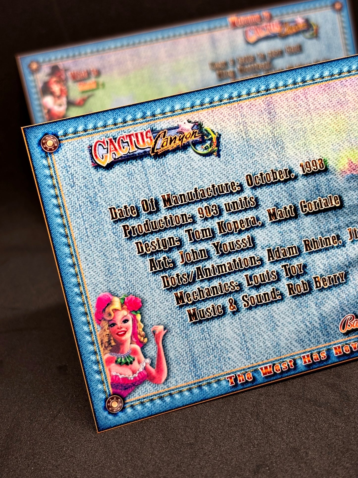 Instrucciones de tarjetas de juegos de pinball Bally Cactus Canyon 1998 - Tarjetas de pinball personalizadas con impresión personalizada