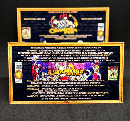 Instrucciones de las tarjetas del juego Bally The Champion Pub 1998 Delantal personalizado de pinball Reglas impresas