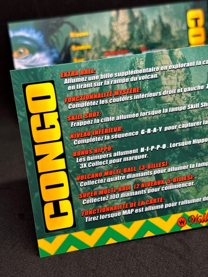Williams CONGO 1995 Game Cards Instructions Pinball Custom Apron printed rules