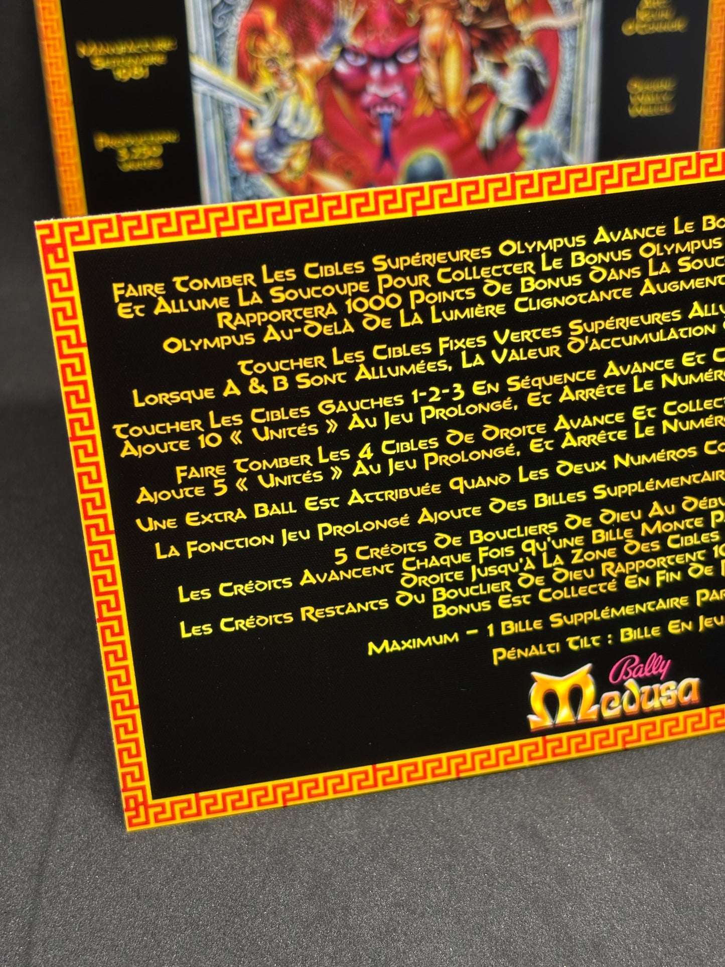 Bally MEDUSA 1981 Jeu Cartes Instructions Flipper Custom Apron règles imprimées