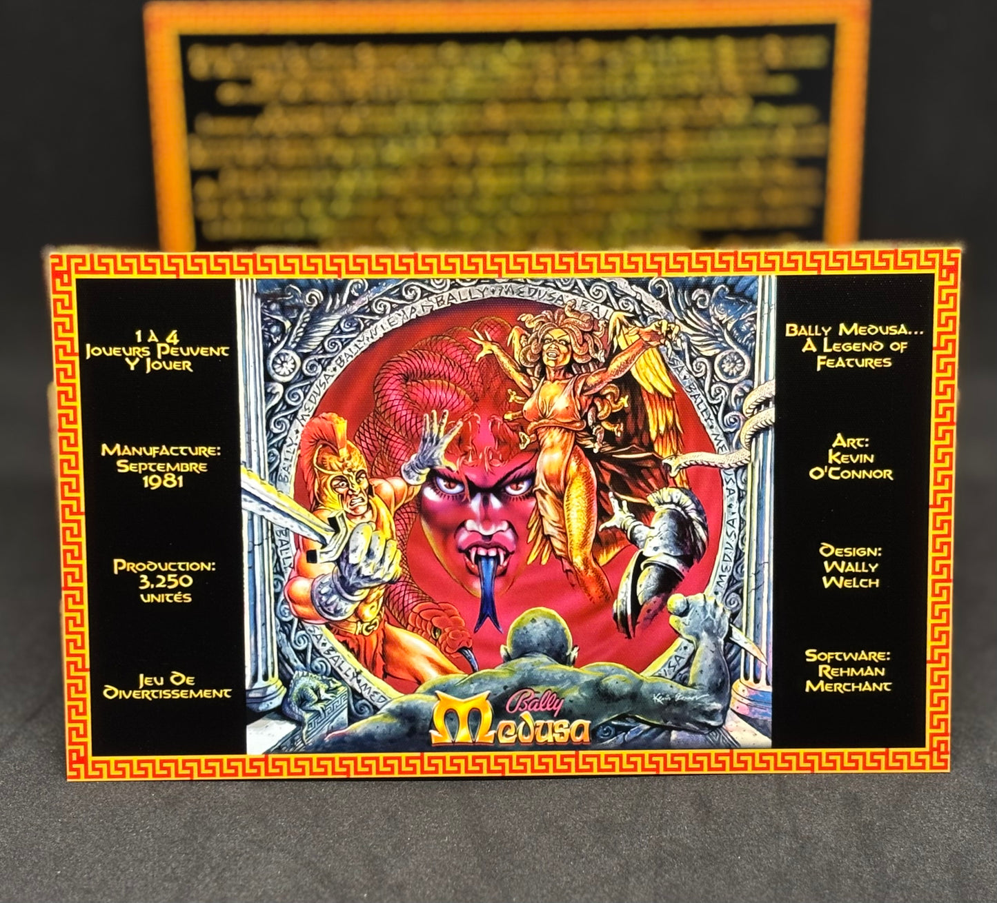Bally MEDUSA 1981 Jeu Cartes Instructions Flipper Custom Apron règles imprimées