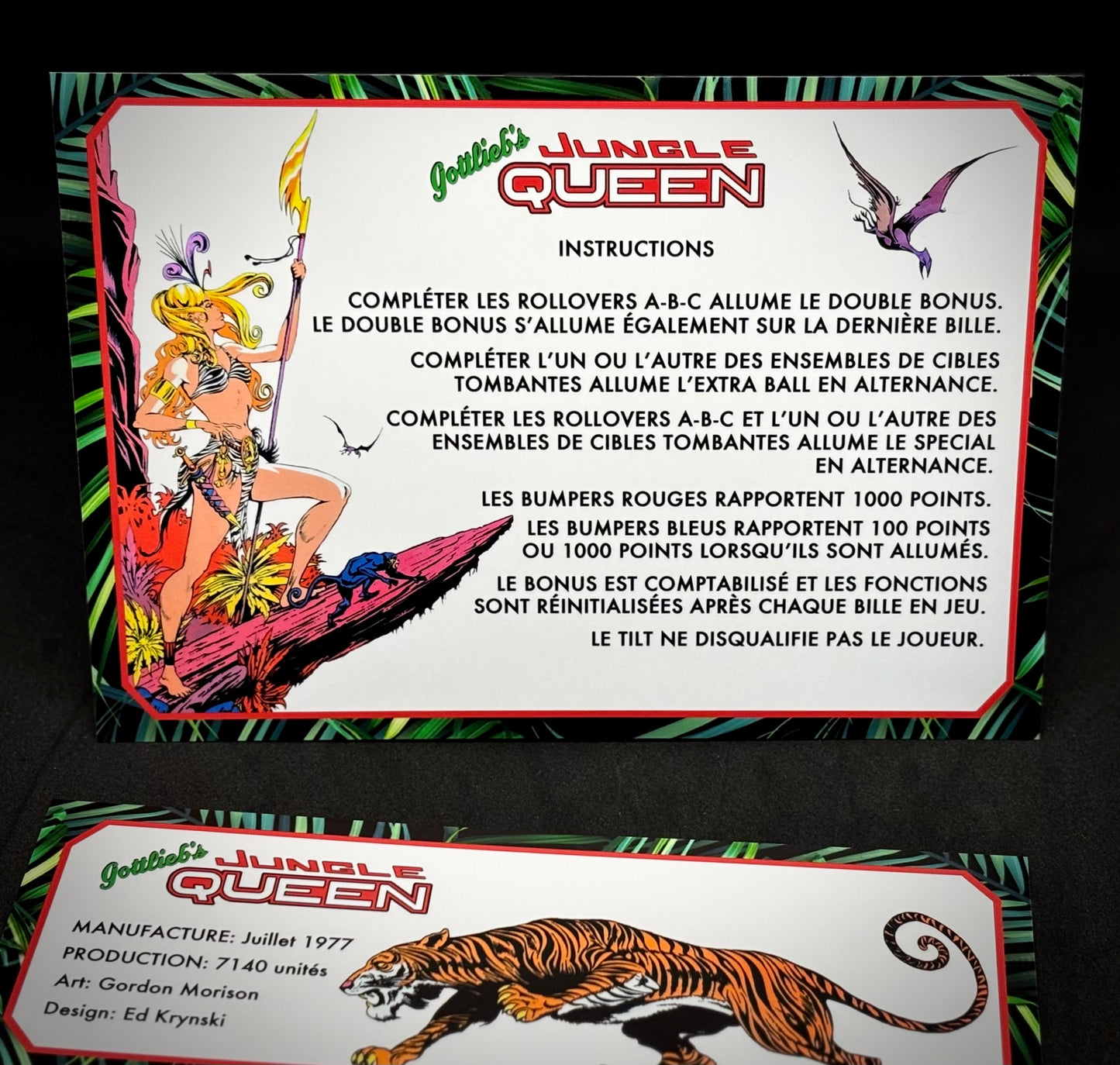 Gottlieb Jungle Queen 1977 Game Cards Instructions Pinball Custom Apron printed rules