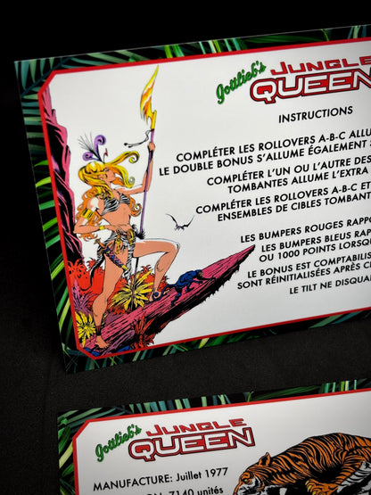 Instrucciones de las tarjetas del juego Gottlieb Jungle Queen 1977, reglas impresas del delantal personalizado de pinball