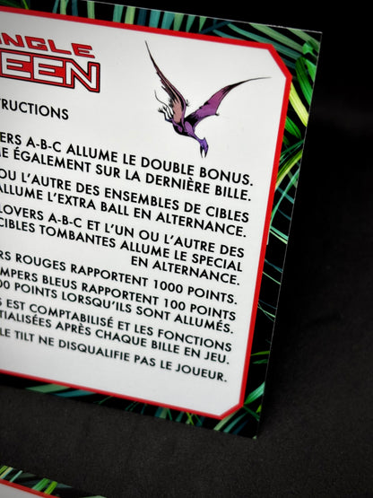 Instrucciones de las tarjetas del juego Gottlieb Jungle Queen 1977, reglas impresas del delantal personalizado de pinball