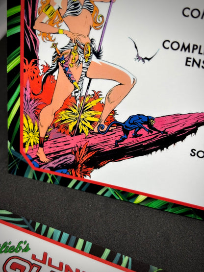 Instrucciones de las tarjetas del juego Gottlieb Jungle Queen 1977, reglas impresas del delantal personalizado de pinball