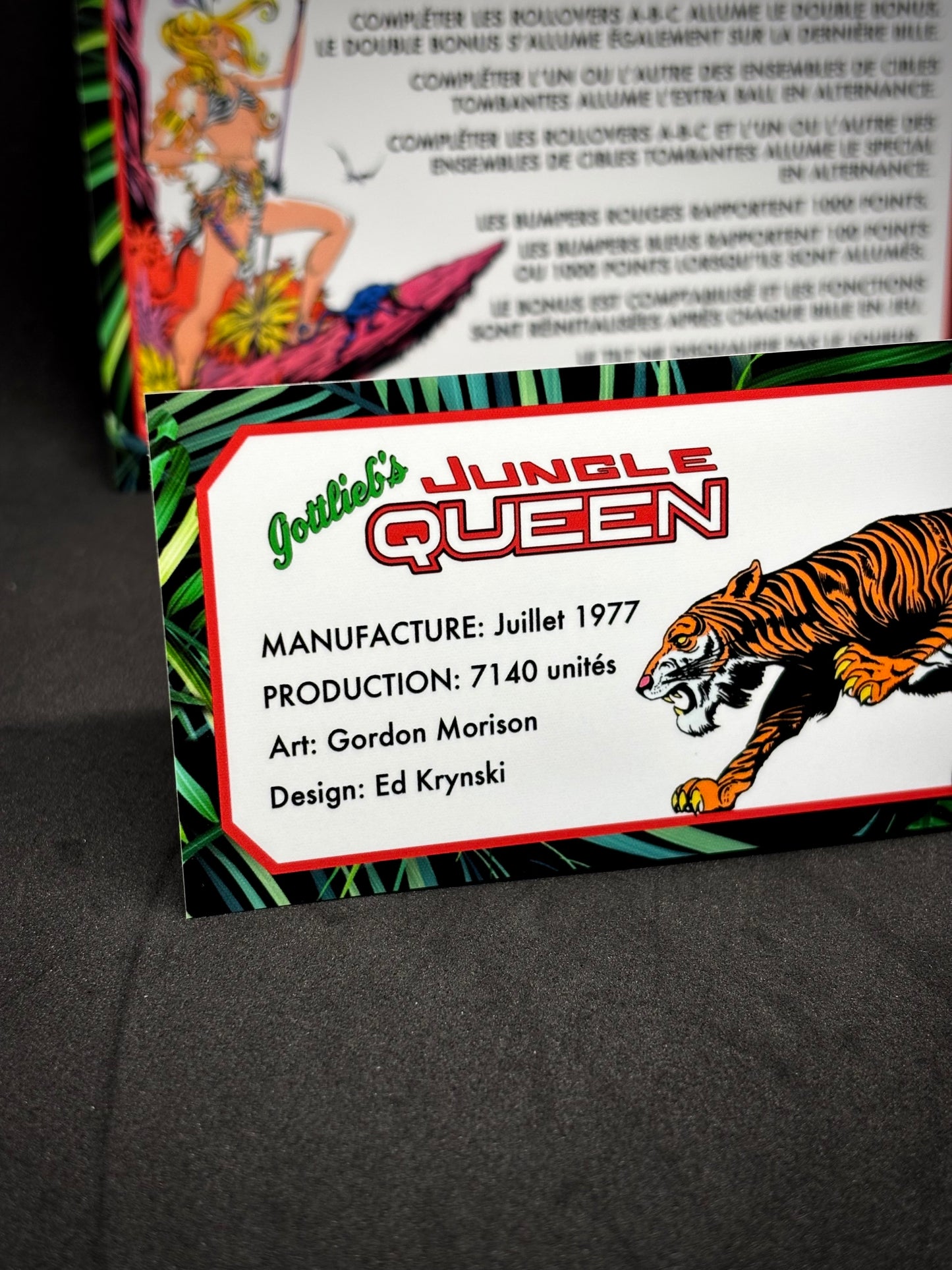 Gottlieb Jungle Queen 1977 Game Cards Instructions Pinball Custom Apron printed rules