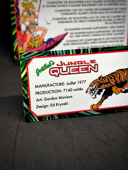Instrucciones de las tarjetas del juego Gottlieb Jungle Queen 1977, reglas impresas del delantal personalizado de pinball