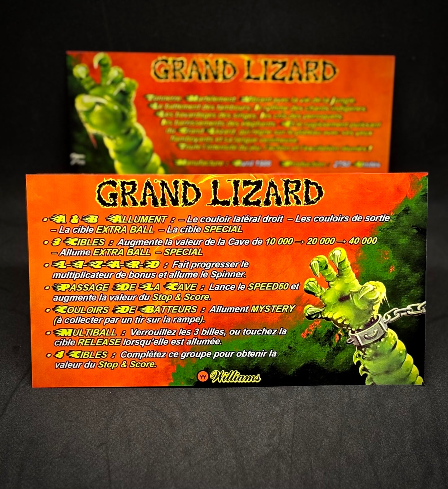 Williams GRAND LIZARD 1986 Jeu Cartes Instructions Flipper Custom Apron règles imprimées
