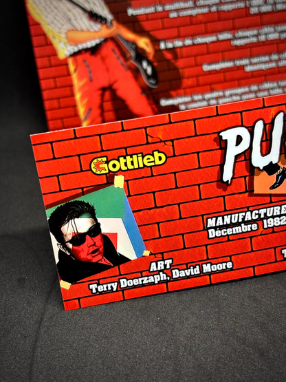 Instrucciones de las tarjetas del juego Gottlieb PUNK 1982 Delantal personalizado de pinball con reglas impresas